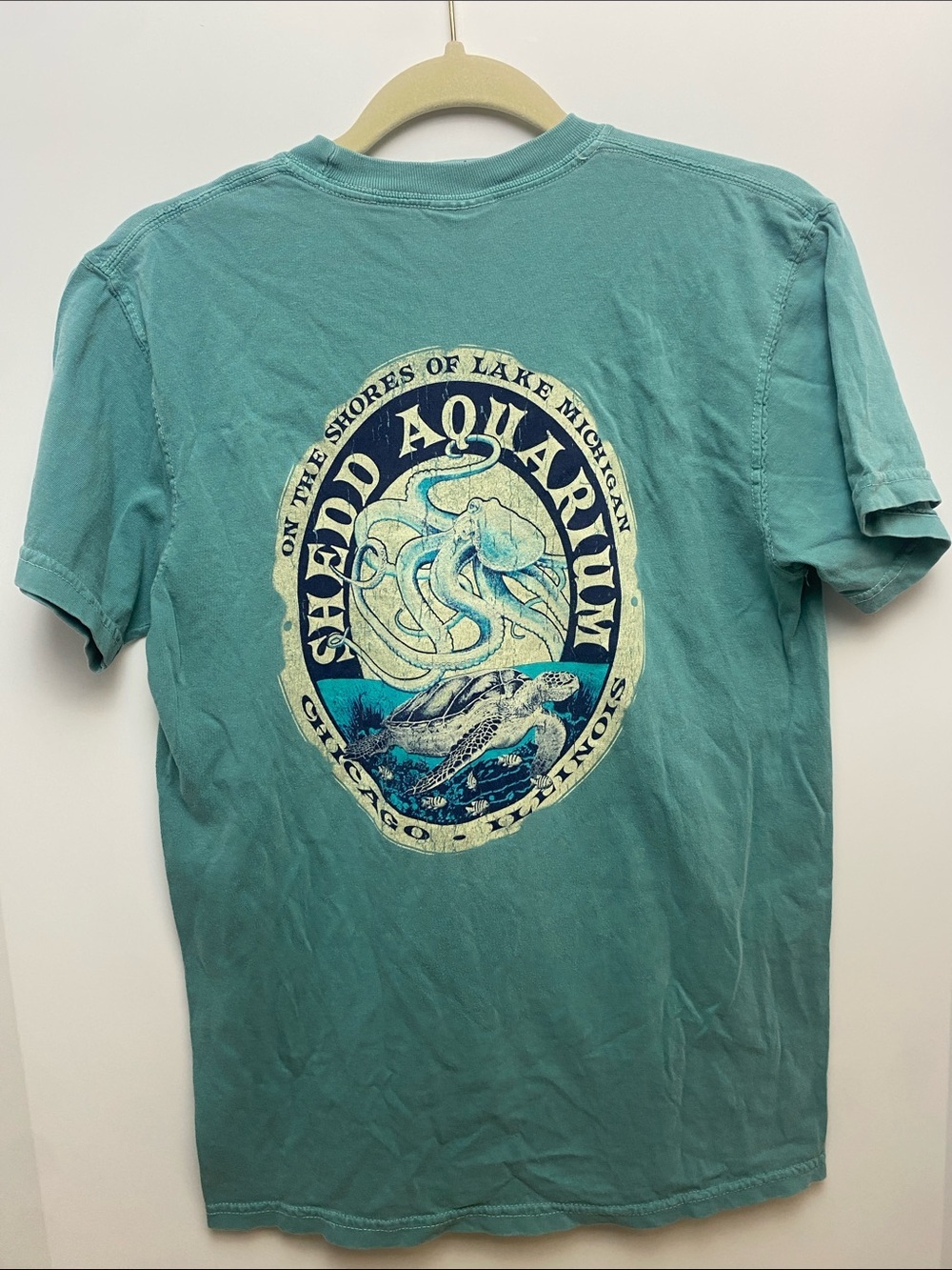 Comfort Colors Teal Short-Sleeve Graphic Tee - Picture 3 of 4